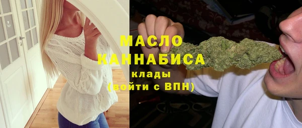 mix Богородицк