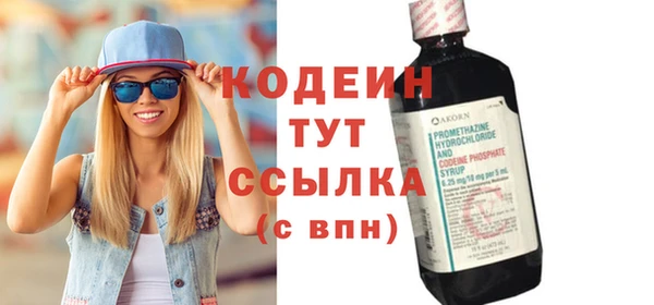 ПСИЛОЦИБИНОВЫЕ ГРИБЫ Богданович