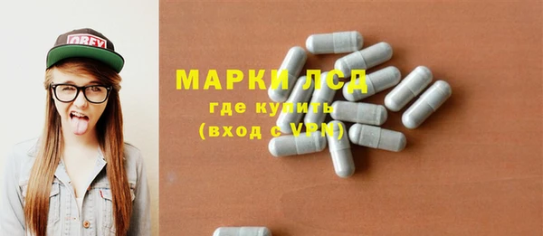 ПСИЛОЦИБИНОВЫЕ ГРИБЫ Богданович