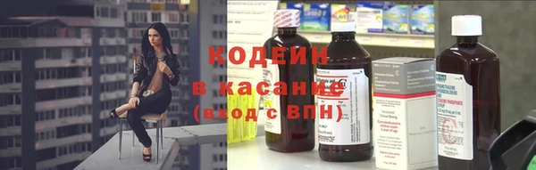 ПСИЛОЦИБИНОВЫЕ ГРИБЫ Богданович
