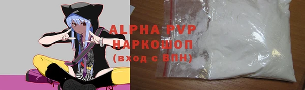 ПСИЛОЦИБИНОВЫЕ ГРИБЫ Богданович