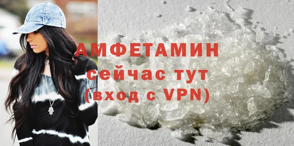 ПСИЛОЦИБИНОВЫЕ ГРИБЫ Богданович