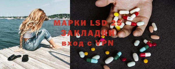 ПСИЛОЦИБИНОВЫЕ ГРИБЫ Богданович