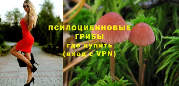 mix Богородицк