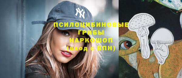 прущая мука Богородск
