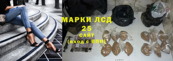 ПСИЛОЦИБИНОВЫЕ ГРИБЫ Богданович