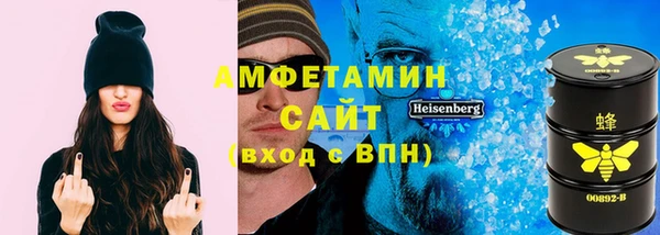 ПСИЛОЦИБИНОВЫЕ ГРИБЫ Богданович