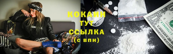 mix Богородицк