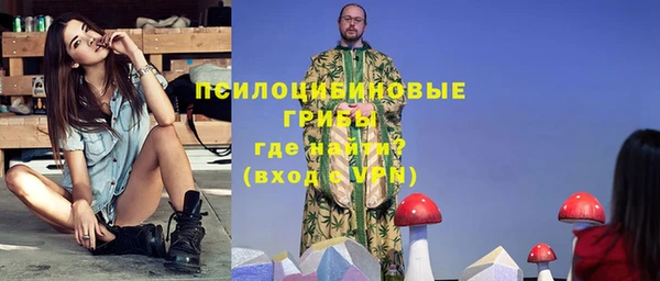 mix Богородицк