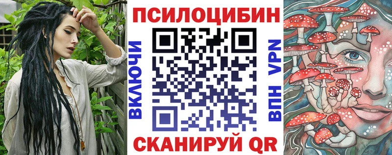 Галлюциногенные грибы Psilocybe  Ковдор 